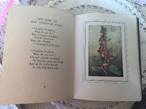 The Book of Flower Fairies by Cicely Mary Barker Illustrated First Edition 1927